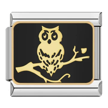 Charm Búho II